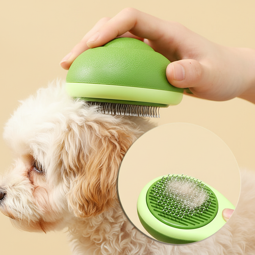 Brosse toilettage avec chien