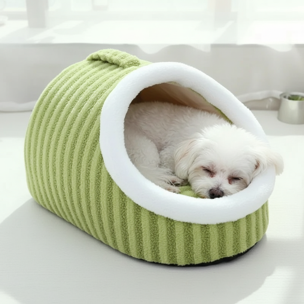 Nid igloo avec chien