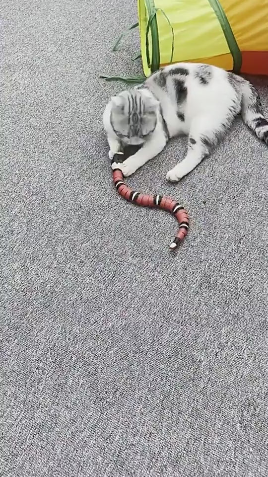 1.mp4